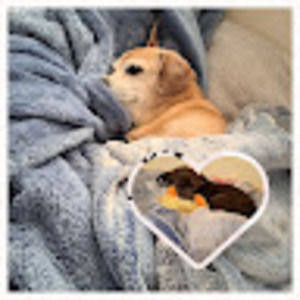 Meet your Posher, Maria